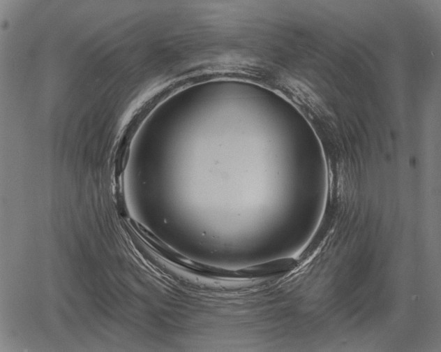 X0000061751164200512050900
