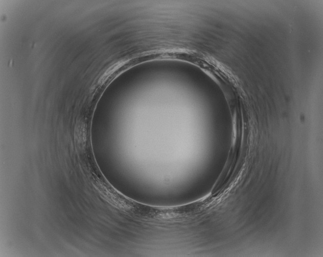 X0000061751169200512050900