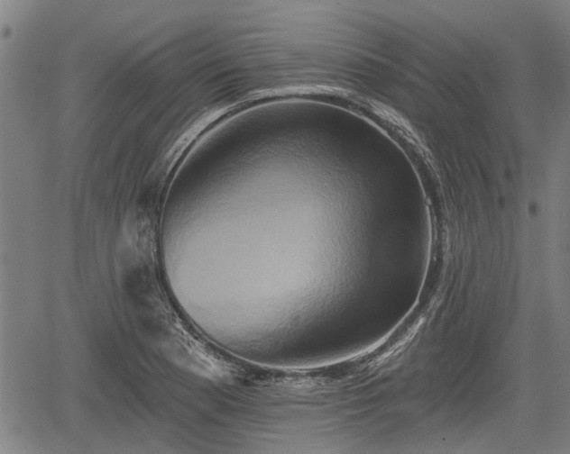 X0000061751177200512050900