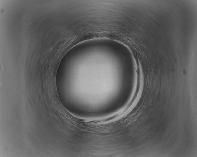 X0000061751201200512050859