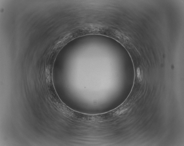 X0000061751203200512050859