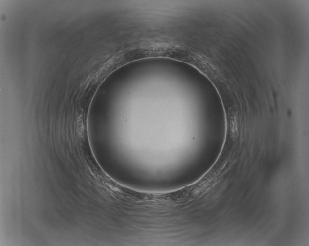 X0000061751204200512050859