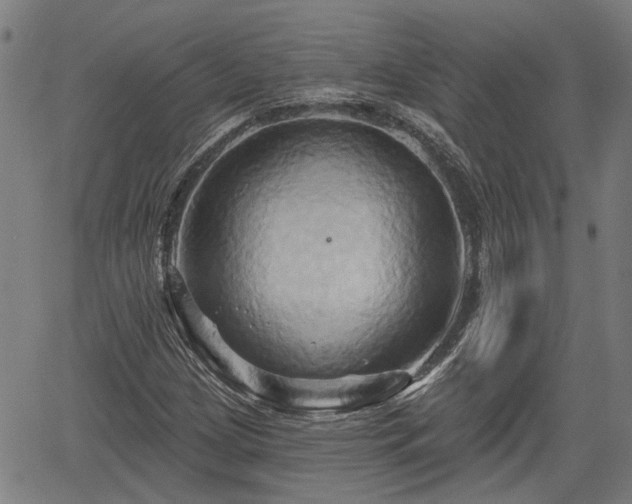 X0000061751209200512050859