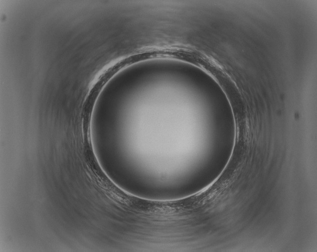 X0000061751214200512050859