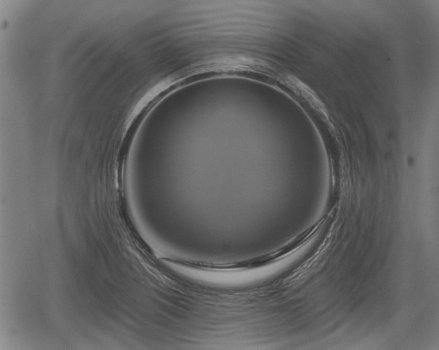 X0000061751226200512050859