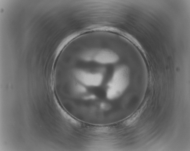 X0000061751247200512050900