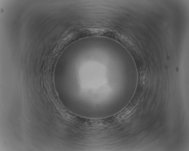 X0000061751249200512050859