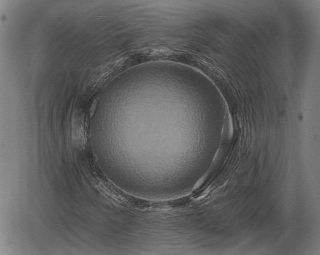X0000061751250200512050859