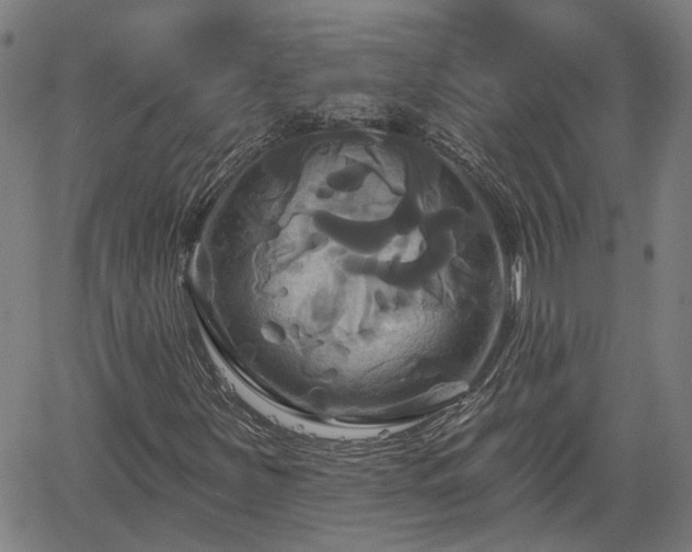 X0000061751251200512050859