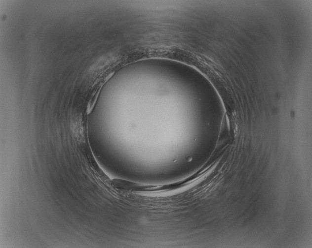 X0000061751252200512050859