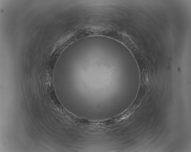 X0000061751253200512050859