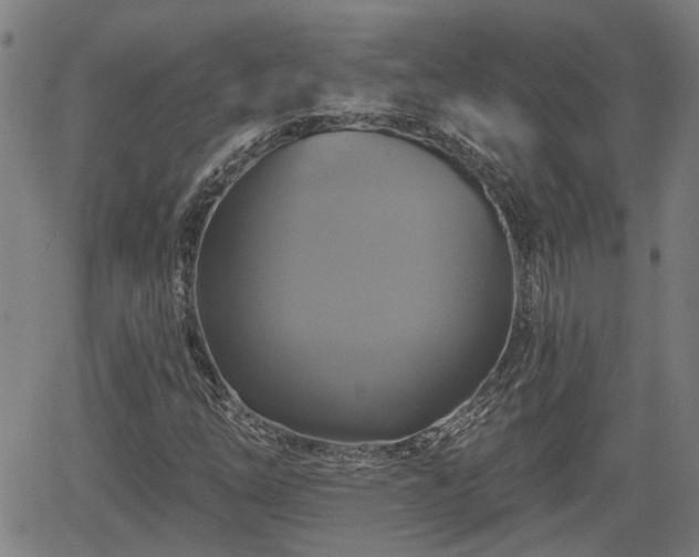 X0000061751254200512050859