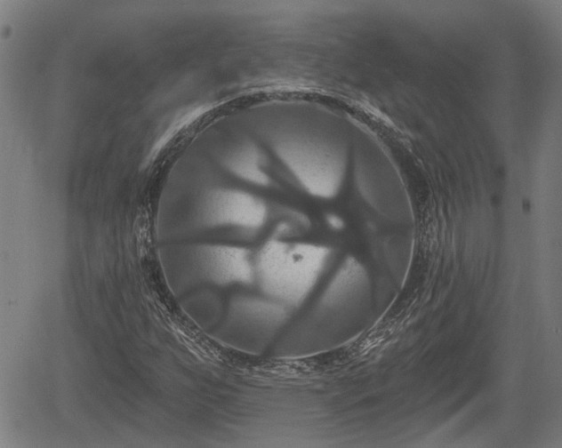 X0000061751255200512050859