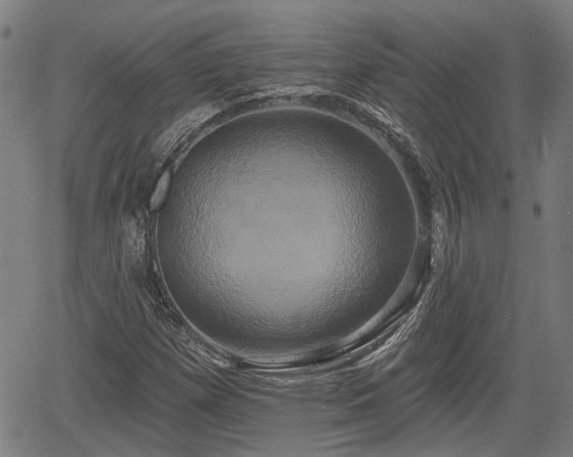 X0000061751257200512050859