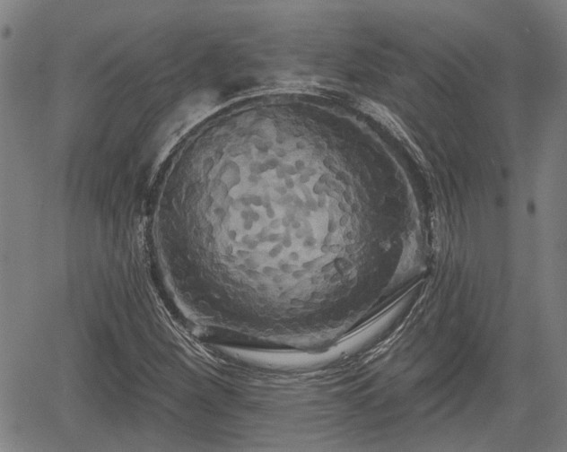 X0000061751260200512050859