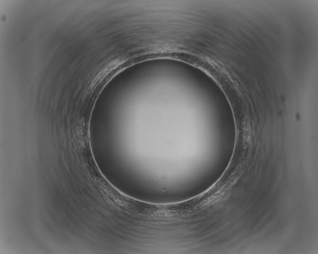 X0000061751265200512050859