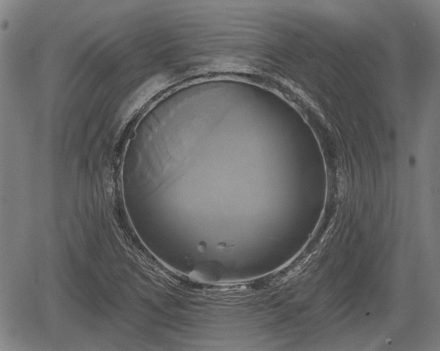 X0000061751266200512050859
