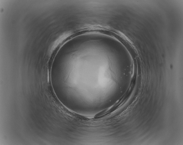 X0000061751269200512050859