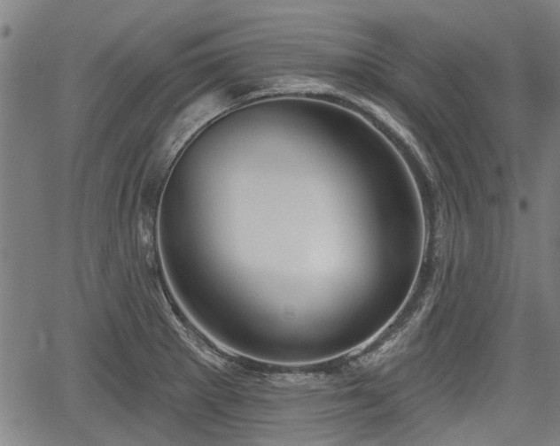 X0000061751281200512050858