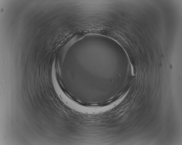 X0000061751298200512050857