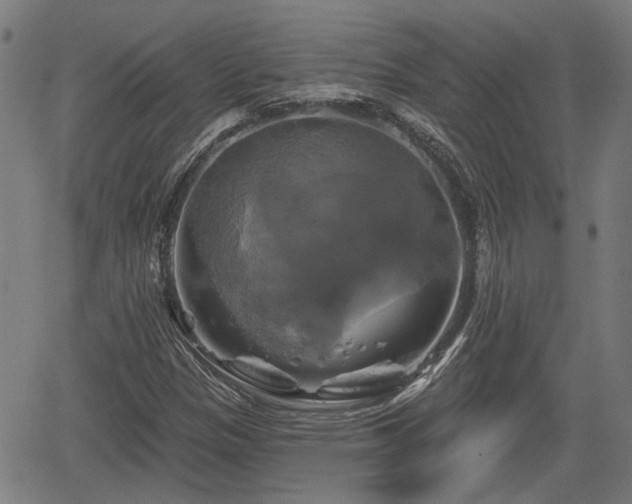 X0000061751305200512050858