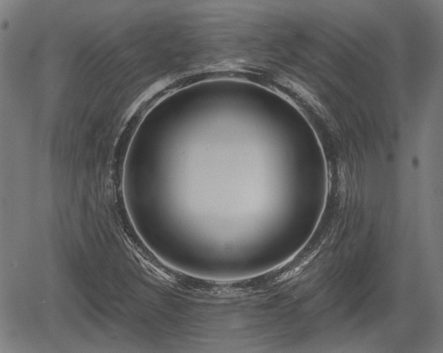 X0000061751308200512050858