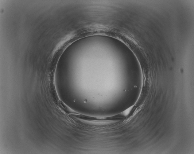 X0000061751309200512050858