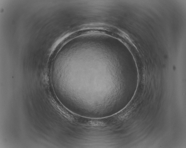 X0000061751312200512050858