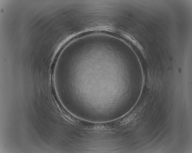 X0000061751316200512050858