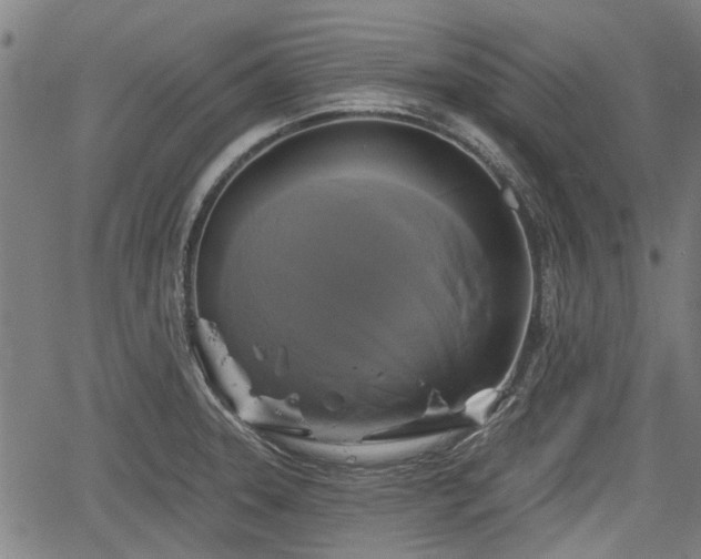 X0000061751331200512050858