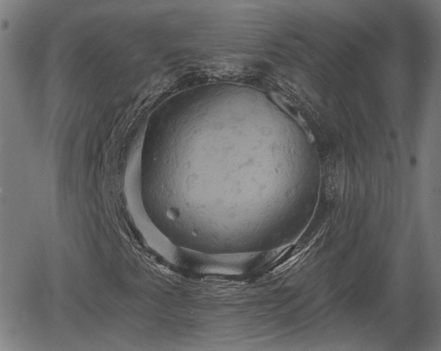 X0000061751345200512050857