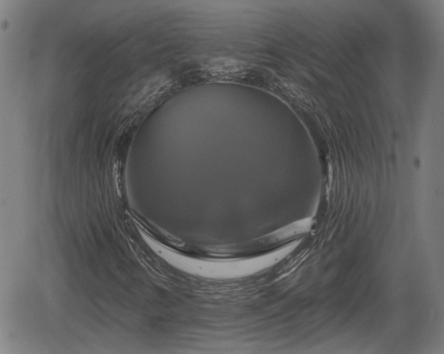 X0000061751346200512050857