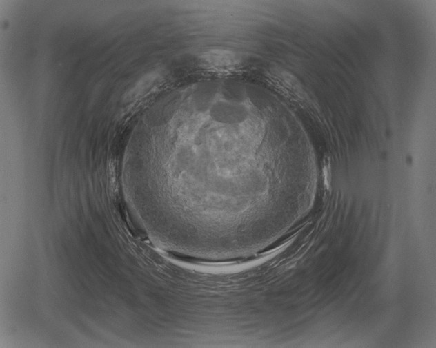 X0000061751347200512050857