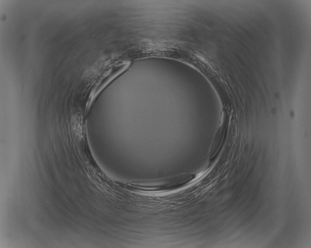 X0000061751348200512050857