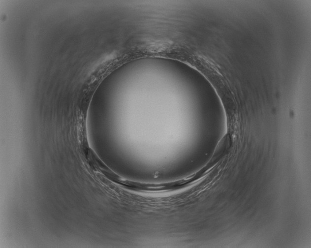 X0000061751349200512050857