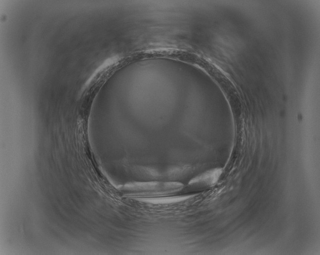 X0000061751351200512050857