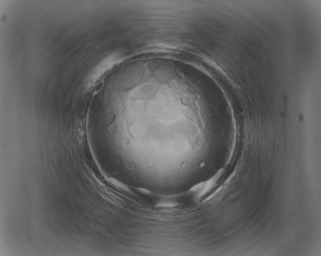 X0000061751355200512050857