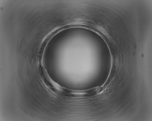 X0000061751356200512050857