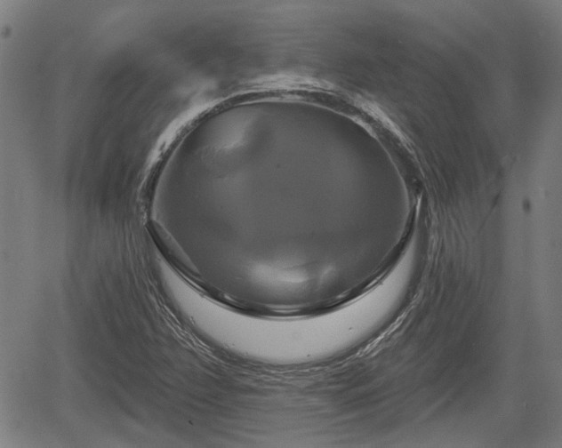 X0000061751358200512050857