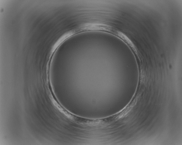 X0000061751386200512050857