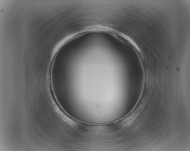 X0000061751387200512050857
