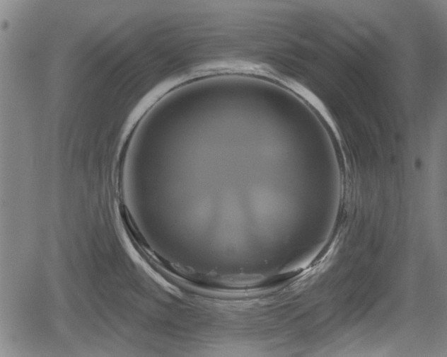 X0000061751389200512050857