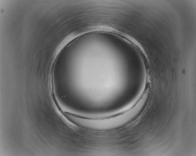 X0000061751391200512050857