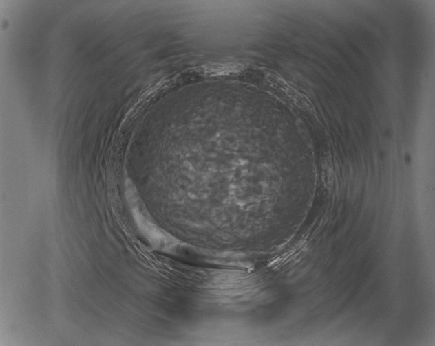 X0000061751393200512050856