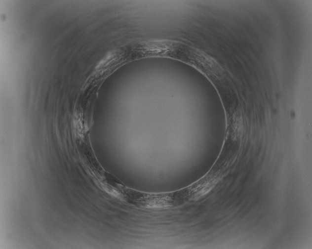 X0000061751394200512050856