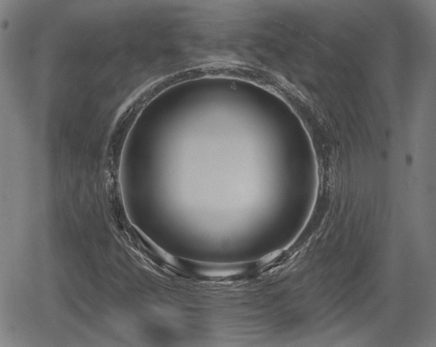 X0000061751400200512050856