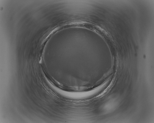 X0000061751401200512050856