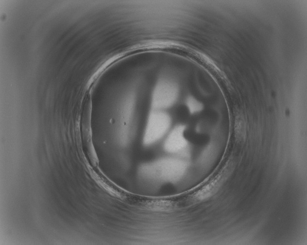 X0000061751417200512050856