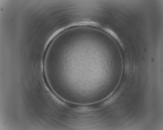 X0000061751420200512050856