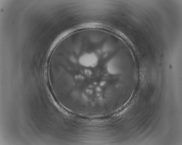 X0000061751421200512050856
